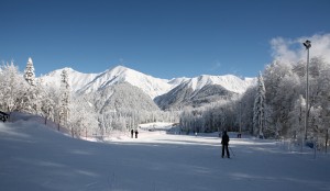 Красная Поляна Сочи